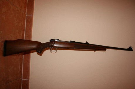 Cambio estos dos rifles, un Tikka de cerrojo modelo M65 en calibre 300wm, y un Rossi de palanca modelo 00
