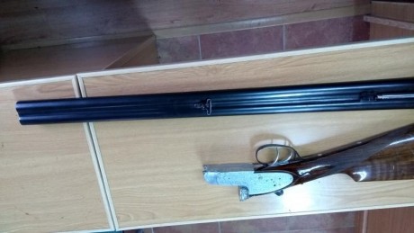 Que tal, un compañero vende escopeta reno paralela y expulsora automática, según el es de alta gama , 01