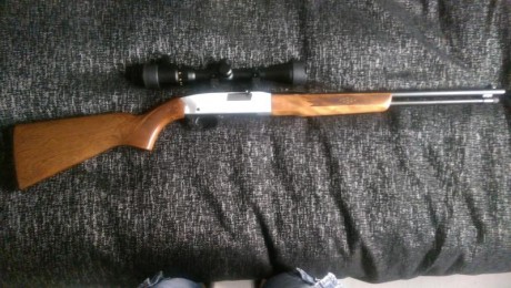 Cambio carabina winchester modelo 190 con visor 3-9x40 por escopeta de plato, en caso necesario ajustando 00