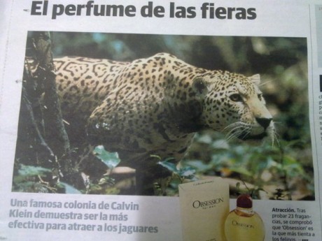 Hola compis. 
Os cuento el lance de ayer porque tiene tela marinera. De alguna manera me da hasta vergüenza 161