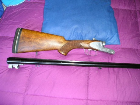 Vendida. 01