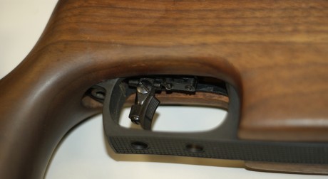 Vendo la carabina con la que empeze en este mundillo por cambio de modalidad y para ahorrar para pistola 10