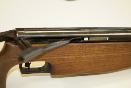 Vendo la carabina con la que empeze en este mundillo por cambio de modalidad y para ahorrar para pistola 20