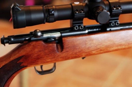 Vendo carabina de marca Rhenus, de calibre 22 WMR por solo 250€
Ideal para casa mayor, donde aceptan ese 00