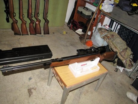 vendo hatsan 155 torpedo, calibre 4,5 precio 130 con portes incluidos.el visor no esta incluido.
  IMG_0931.JPG 01