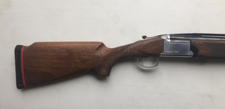 Hola 

Cambio por Rifle mi Franchi Imperial Trap, choques 2 y 1 intercambiables, cañón 73, maderas al 02