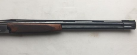 Hola 

Cambio por Rifle mi Franchi Imperial Trap, choques 2 y 1 intercambiables, cañón 73, maderas al 00