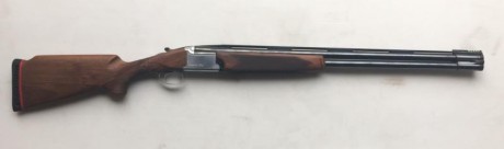 Hola 

Cambio por Rifle mi Franchi Imperial Trap, choques 2 y 1 intercambiables, cañón 73, maderas al 10