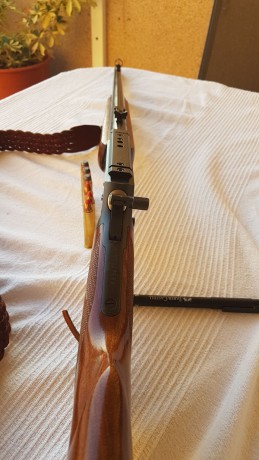 Vendo Marlin 444SS con algunas mejoras como extensión de martillo, punto de mira, carril para mira y correa, 10