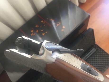 Se vende esta escopeta en estado perfecto, nunca ha estado en el campo ni en el foso, me la quede hace 10