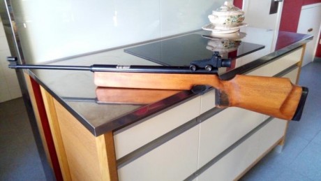 Hola, hay que vaciar parte del armero.
 Pongo en venta un ejemplar en perfecto estado de uso y estética, 00