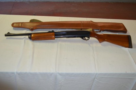Vendo escopeta remington esta impecable .Los puntos de mira son como los de rifle. 
Pido por ella 450 02