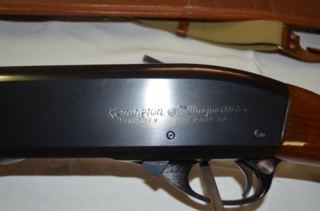 Vendo escopeta remington esta impecable .Los puntos de mira son como los de rifle. 
Pido por ella 450 01