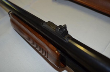 Vendo escopeta remington esta impecable .Los puntos de mira son como los de rifle. 
Pido por ella 450 00