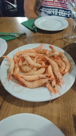 Hola, buenas a todos, os cuento, resulta que me voy un año a vivir a Cracovia , según tengo entendido 160