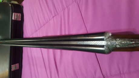 buenas, vendo o cambio, paralela Gamba San Vicent escudete de oro, con choques briley,
culata pistolet 01