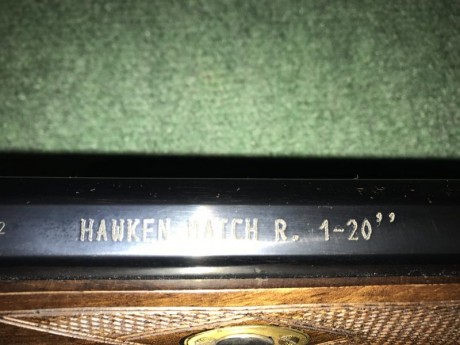 Se vende o se cambia rifle hawken Mach de ardesa  por ir dejando la afición, calibre 451. paso de estria 70
