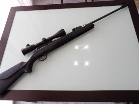 Vendo carabina de aire comprimido modelo DIANA PANTHER 340 N-TEC Calibre 5,5 / 22, NUEVA!!!, con visor 00