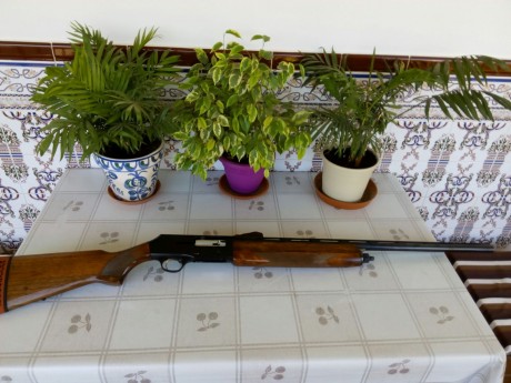 VENDIDA escopeta Browning B-80, cal.12, en perfectas condiciones mecánicas y muy buen estado.

Un saludo 21
