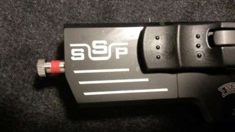 Hola,
¿Hay que tomar alguna medida especial para disparar en seco con una Walther SSP?.
En otras armas 31