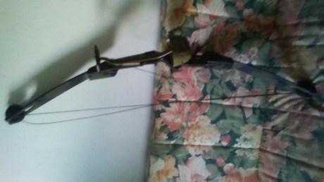 Cambio arco de poleas por cronografo o prensa de recarga
También vendo

https://www.armas.es/foros/otros/arco-de-poleas-barnett-safari-1057292 150