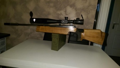 Vendo una carabina Feinwerkbau 300, recién cambiado muelle a 16 jul, juntas nuevas, esta al aceite oscurecida, 00
