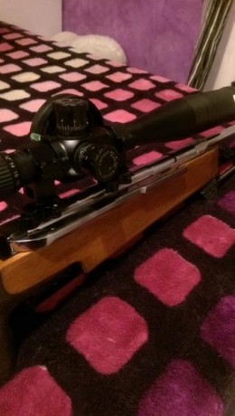 Vendo una carabina Feinwerkbau 300, recién cambiado muelle a 16 jul, juntas nuevas, esta al aceite oscurecida, 21