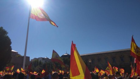 ¿No es decepcionante que, con la que está cayendo, no se convoquen manifestaciones/concentraciones para 120