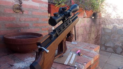 hola vendo mi cometa bullpup orion del 6.35mm por dejar la aficion
completamente nueva en todos los sentidos 00