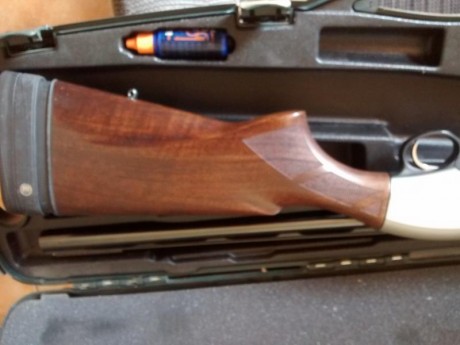 Vendo, por dejar la menor, esta semi que tiene tres tiradas a palomas. Kick-off de beretta en la culata 20