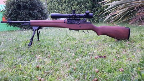 Busco un M-14, preferiblemente de Springfield. 

Saludos al foro. 90