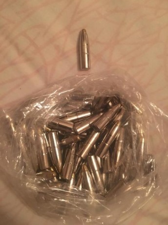 Vendo 151 puntas de la marca RWS, modelo EVO (Evolution Power Bonded), de 200Gr.(13g.) en calibre 8mm.(.323).

Precio 00