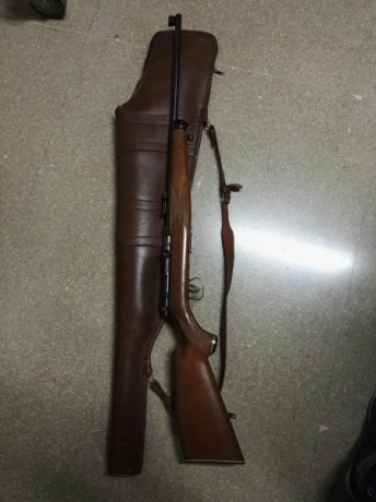 Vendo carabina, marca winchester, calibre 22,  completamente nueva. Precio 170 euros portes y guia de 01