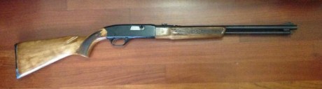 Carabina del 22lr. Winchester semiautomática, Mod. 290, de fabricación U. S. A, entre 1963 y 1975, con 01