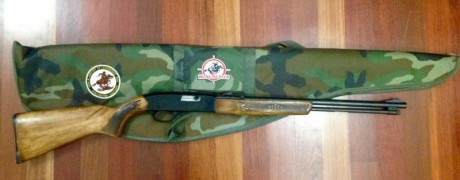 Carabina del 22lr. Winchester semiautomática, Mod. 290, de fabricación U. S. A, entre 1963 y 1975, con 00