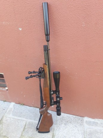 Las fotos....no se como se suben precio con visor
 1300€ 10