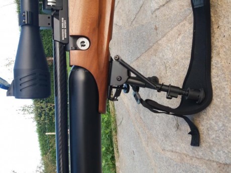 Hola buenos dias a todos. Pues lo dicho , vendo Air Wolf calibre 4.5 mm, en buen estado, muy cuidada, 02