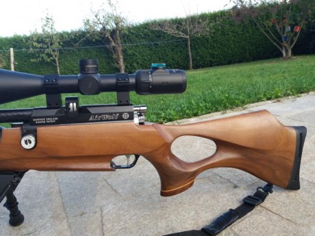 Hola buenos dias a todos. Pues lo dicho , vendo Air Wolf calibre 4.5 mm, en buen estado, muy cuidada, 00