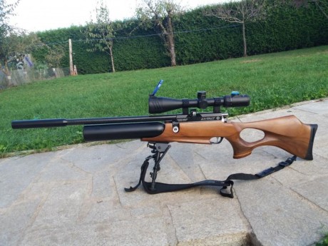 Hola buenos dias a todos. Pues lo dicho , vendo Air Wolf calibre 4.5 mm, en buen estado, muy cuidada, 12