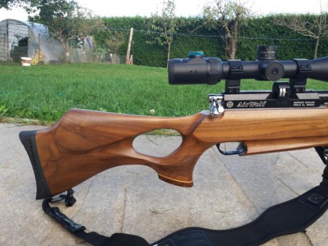 Hola buenos dias a todos. Pues lo dicho , vendo Air Wolf calibre 4.5 mm, en buen estado, muy cuidada, 10