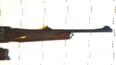 Vendo este saut, perfecto estado, con regleta picantinny original, punto rojo Zeiss Z-Point y dos cargadores.
 01