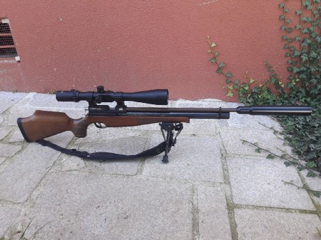 Hola buenos dias a todos.Vendo mi Air arms ajustada y montada por J.Serrano,con cañon Lothar Walther grado 01