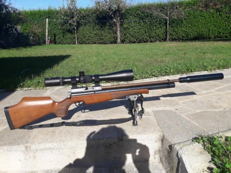 Hola buenos dias a todos.Vendo mi Air arms ajustada y montada por J.Serrano,con cañon Lothar Walther grado 11