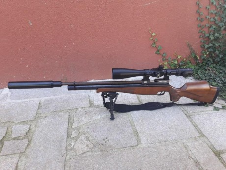 Hola buenos dias a todos.Vendo mi Air arms ajustada y montada por J.Serrano,con cañon Lothar Walther grado 10