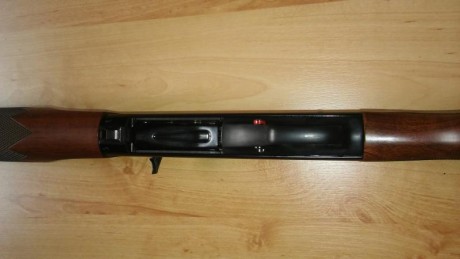 Vendo repetidora Winchester modelo 1400.
VENDIDA 00