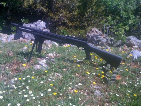 Buenas.
Estoy pensando en colocar un un bipode a mi carabina del 22lr.
Mi duda es si un bipode en el cañón 32