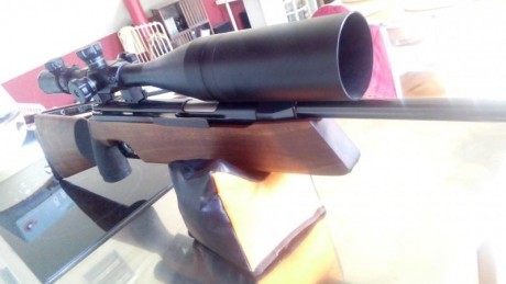 En venta un ejemplar de feinwerkbau fwb300s equipada con un visor Zos 10-40x60 válida para br25 y montando 11