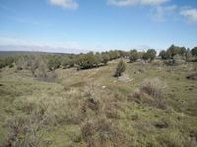 Muy buenas desde CAMPO DE TIRO EL RESORTE 

Es un placer presentarles el espectacular campo de tiro El 62