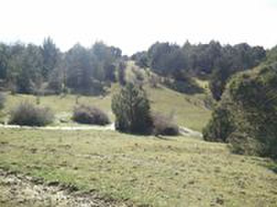 Muy buenas desde CAMPO DE TIRO EL RESORTE 

Es un placer presentarles el espectacular campo de tiro El 61