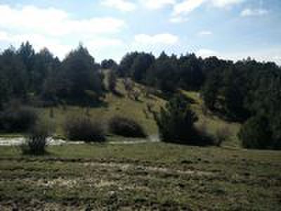 Muy buenas desde CAMPO DE TIRO EL RESORTE 

Es un placer presentarles el espectacular campo de tiro El 60